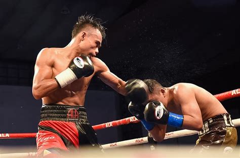 philboxing|filipino boxers latest fight.